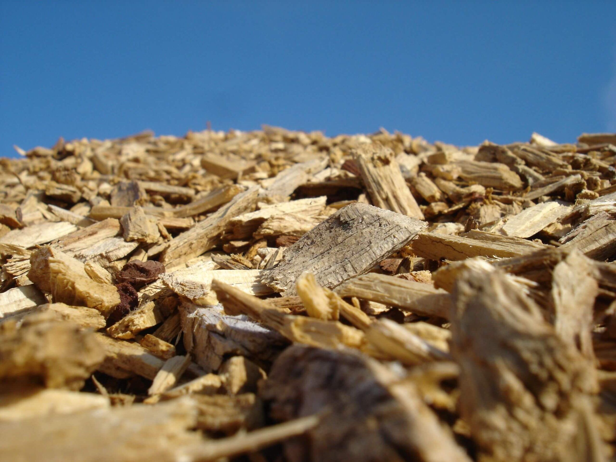 Bioenergía en el sector de energía de Cidaut