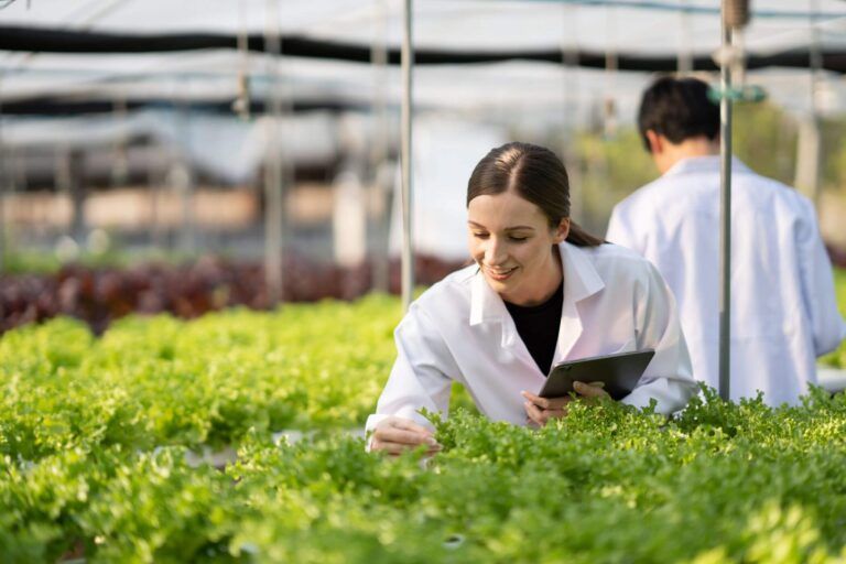 Sector agroalimentación Cidaut